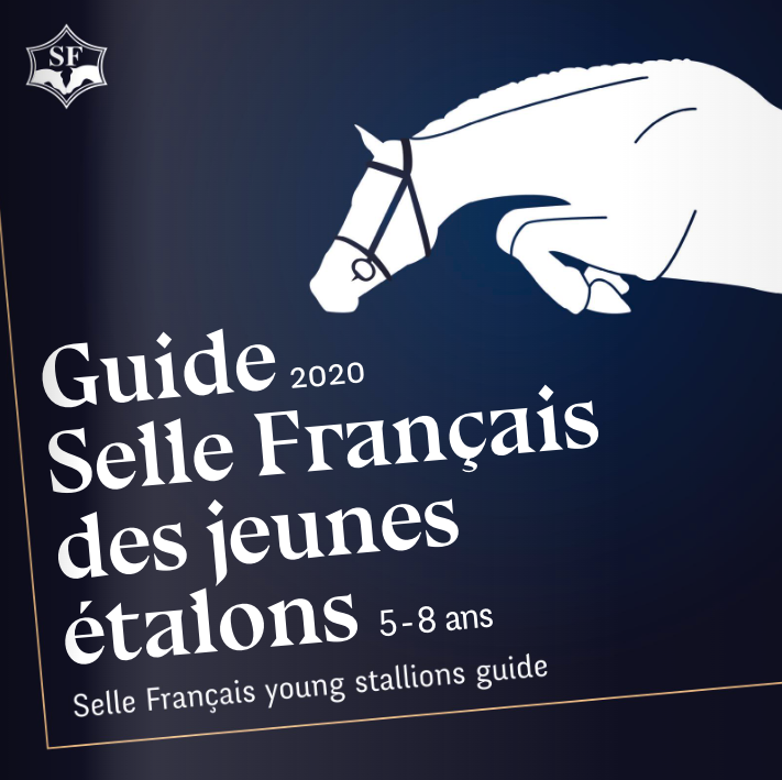 Guide Selle Français jeunes étalons 2020