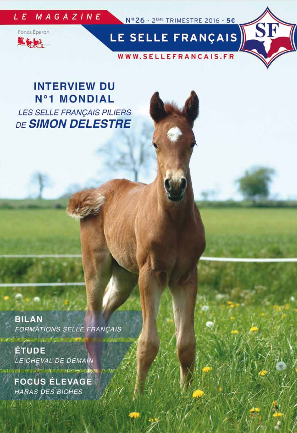 Magazine du studbook Selle-Français