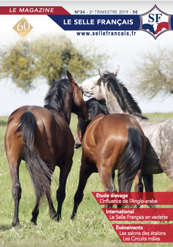 Magazine du studbook Selle-Français