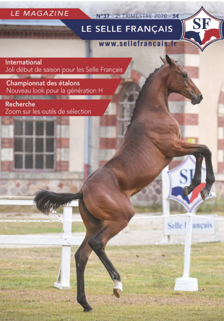 Magazine du studbook Selle-Français