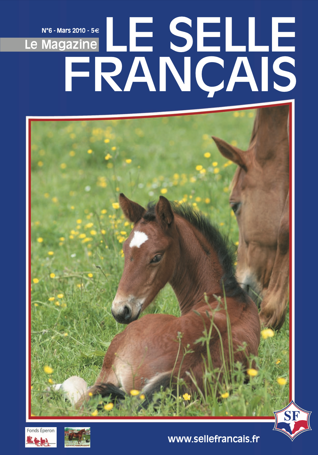 Magazine du studbook Selle-Français