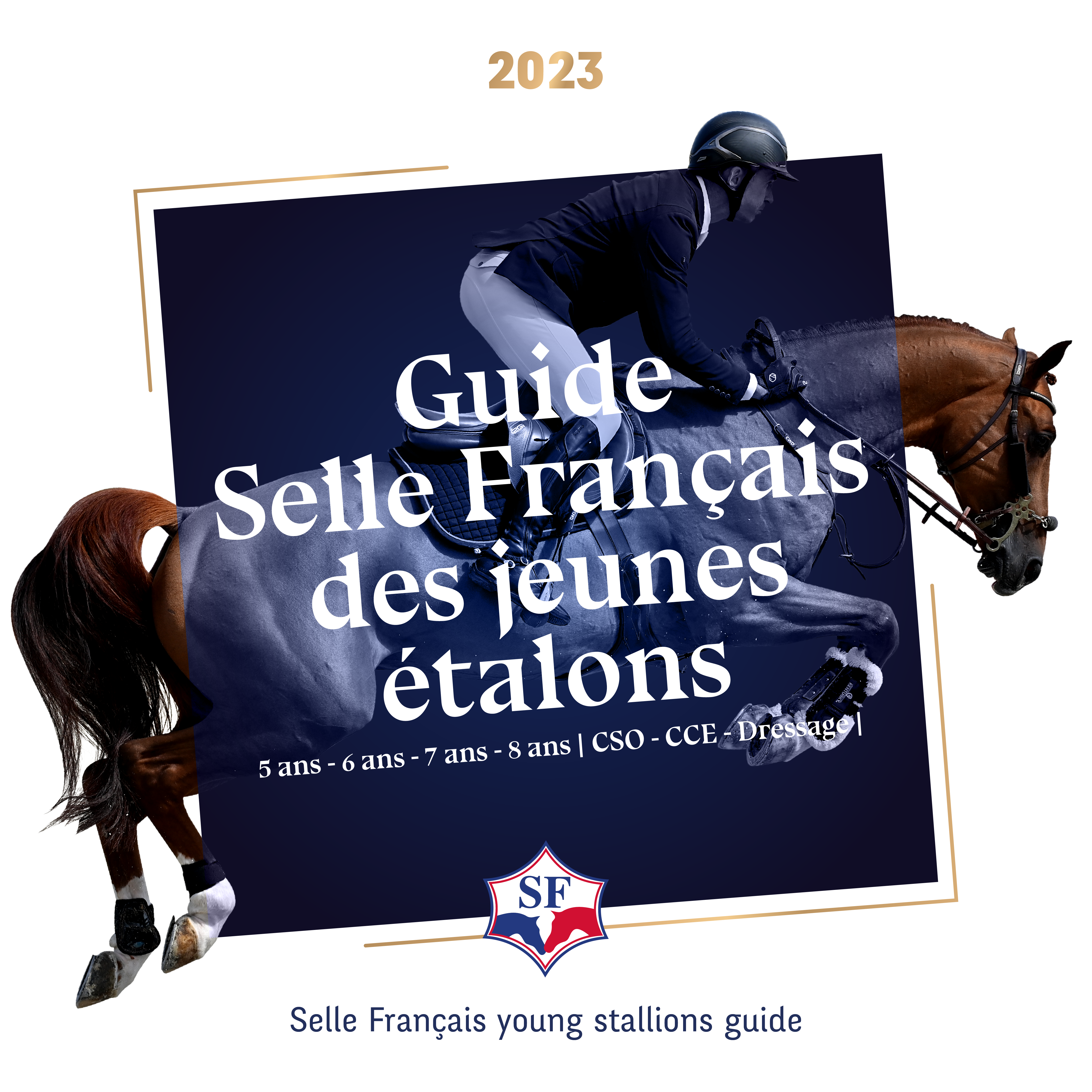 Guide Selle Français jeunes étalons 2023