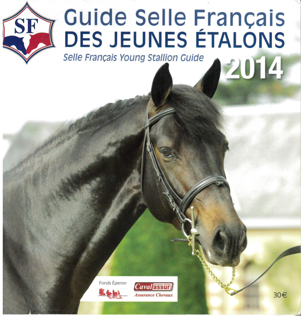 Guide Selle Français jeunes étalons 2014