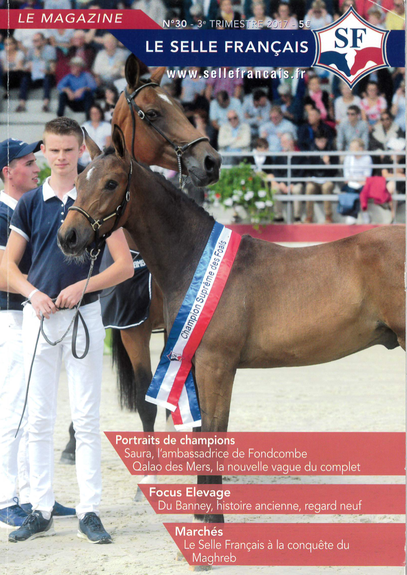 Magazine du studbook Selle-Français