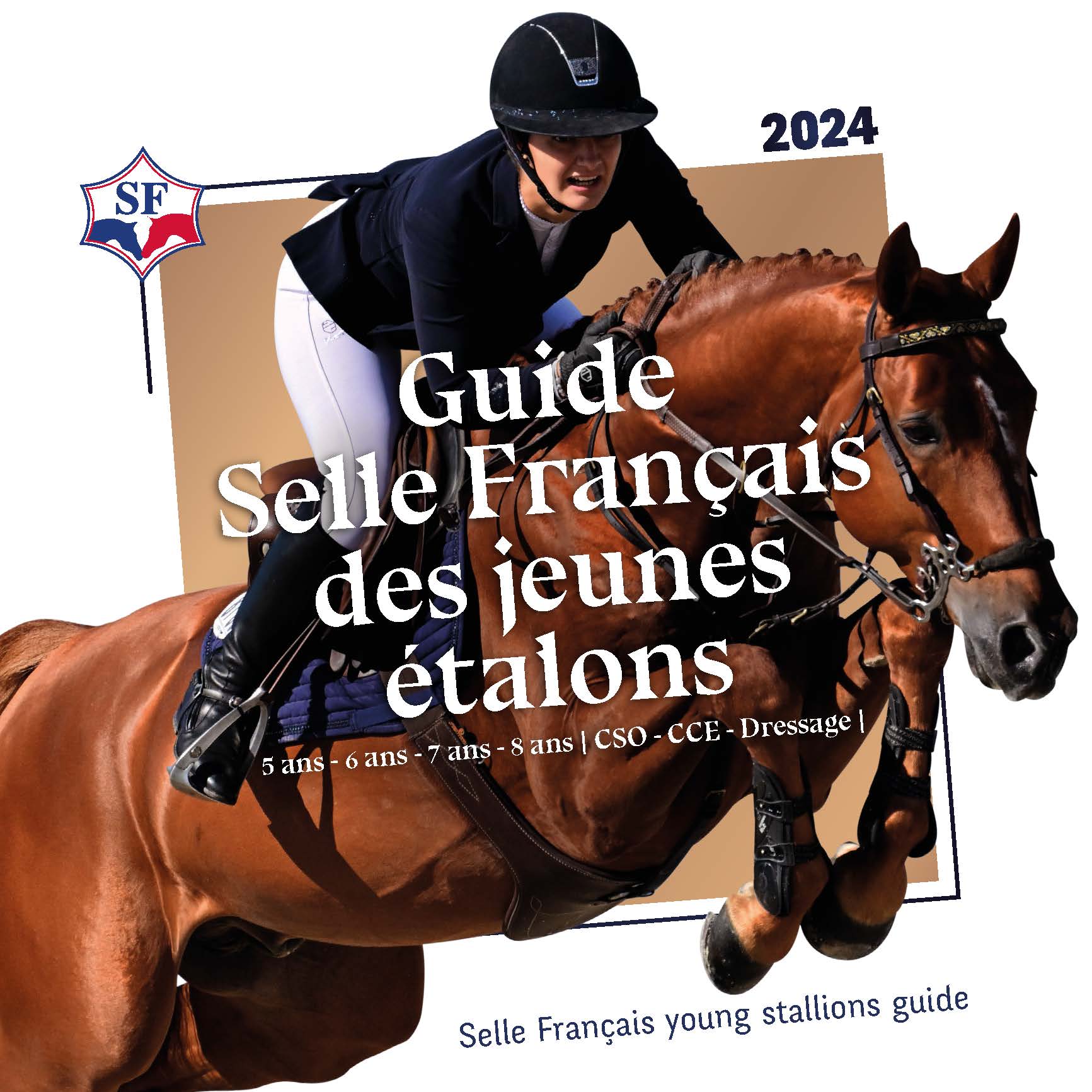 Guide Selle Français jeunes étalons 2024